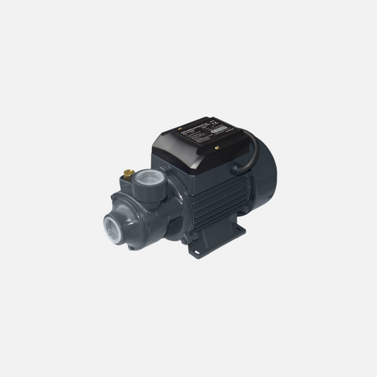 Bomba periferica 110V Importada