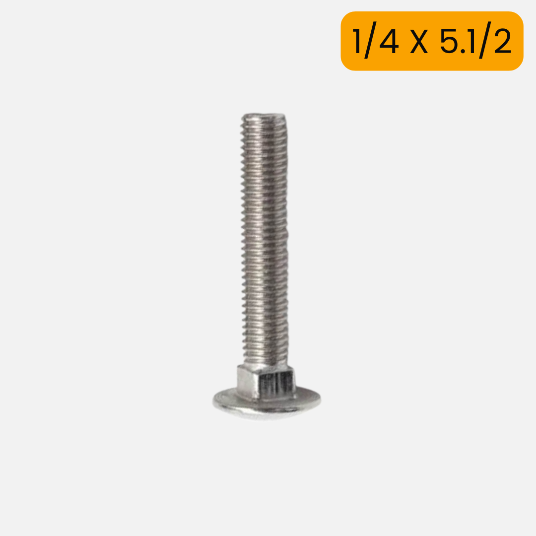 Tornillo carriage/carruaje de 1/4 X 5.1/2