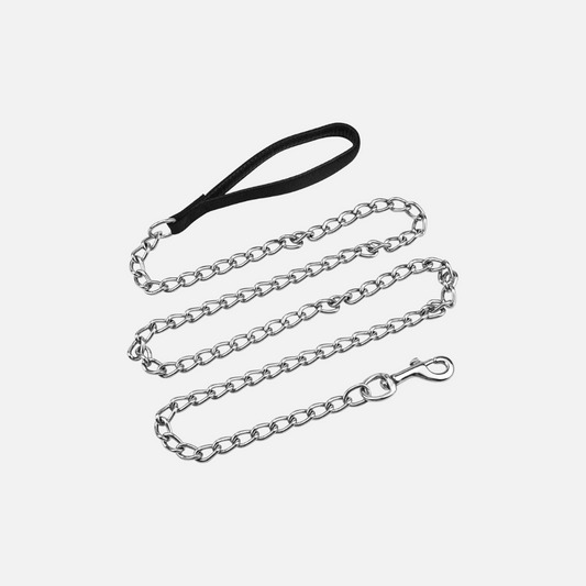 Collar cadena para perro